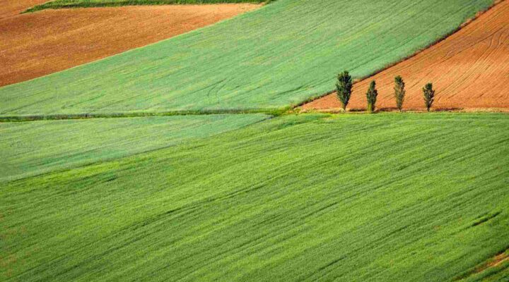 Pyranometer Calibration for Agriculture