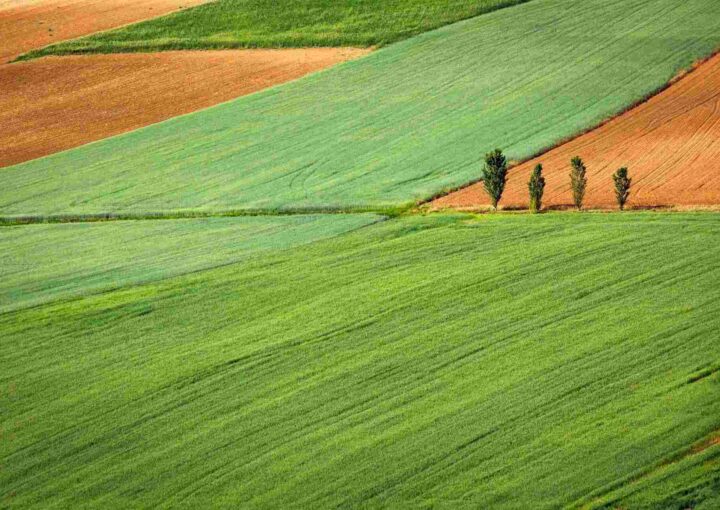 Pyranometer Calibration for Agriculture