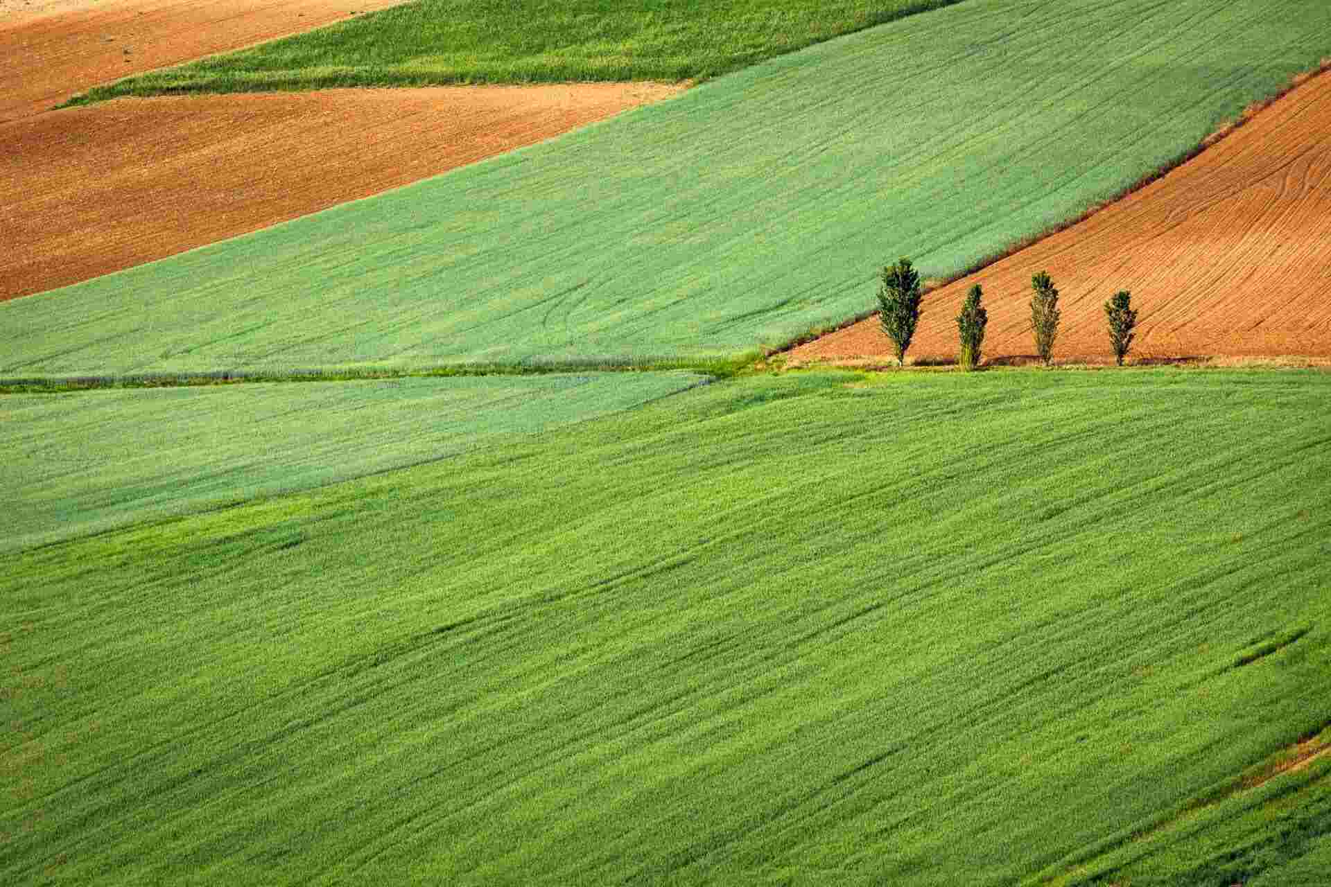 Pyranometer Calibration for Agriculture